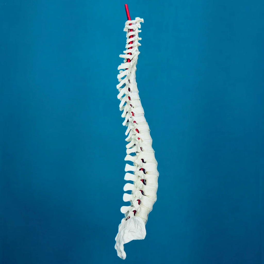 Columna completa